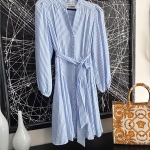 Taylor Blue and White Striped Long Sleeve Dress